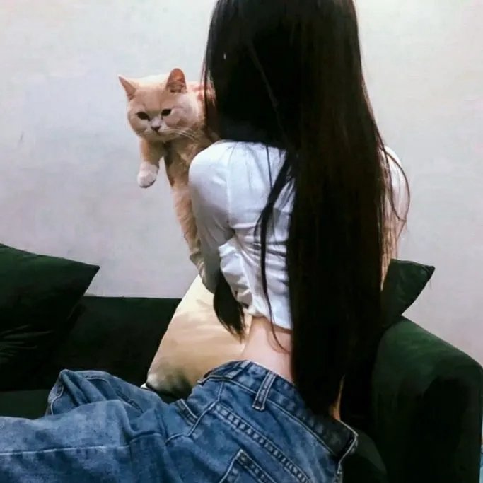 先生的朋友圈